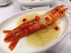 生腌大红虾-喜鼎海胆水饺(平安金融中心店)