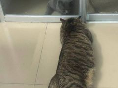 -雅致口腔门诊部(五羊邨地铁店)