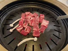 -韩时烤肉(枫蓝店)