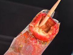 -和禄德冰糖葫芦