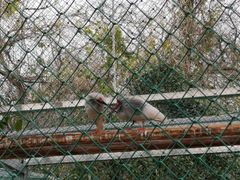 -下渚湖国家湿地公园科普馆