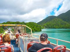 -Big Bus Tours 敞篷观光巴士