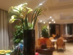 -上海圣淘沙万怡酒店