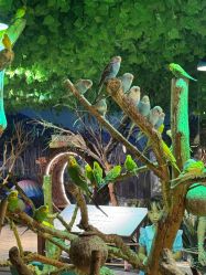 -酷嗒动物文化乐园(cutezoo西溪乐天城店)