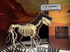 -厦门诚毅自然探索馆