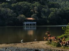 -深圳仙湖植物园