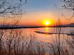 -野鸭湖国家湿地公园