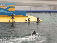 -秦皇岛乐岛海洋王国