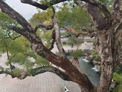 -江心屿景区
