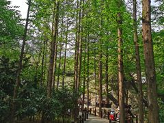 -樱桃沟景区