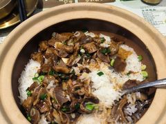 -凤来茶餐·粤菜馆(珠江新城店)