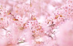 -莉娜美睫·穿戴甲
