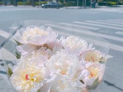 -马邦子·紫苏烤鱼(恒隆广场店)