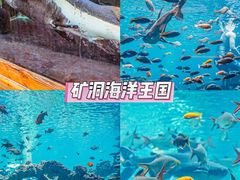 -长鹿旅游休博园