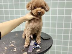 -哈尼爱宠·宠物生活会馆