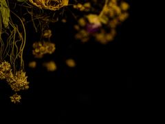 -ROSEONLY诺誓(国际广场购物中心店)