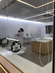 -海豚湾高端月子会所(黄浦店)