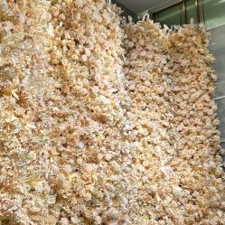 -好友缘酒家·宴会厅(西大店)