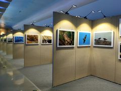 -大连市规划展示中心