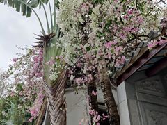 -深圳国际园林花卉博览园