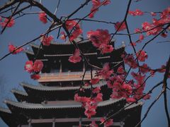 -杭州半山国家森林公园