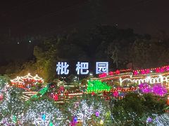 -枇杷园食为鲜火锅(南山店)