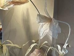 -IFIF 如果花園(宽厚里店)
