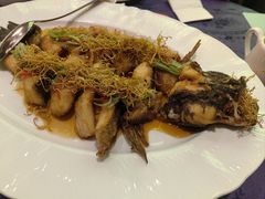 -惠食佳·朱雀(东方商厦店)