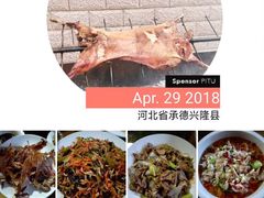 -六里坪国家森林公园