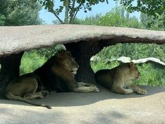-北京野生动物园