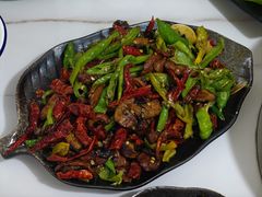 -蘑统田下·野生菌火锅