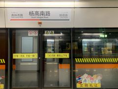 -杨高南路(地铁站)