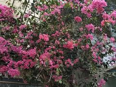 -厦门燕子坞客栈