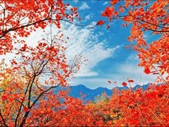 -周口店坡峰岭风景区