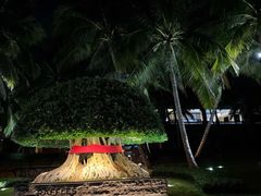 -海南清水湾莱佛士酒店