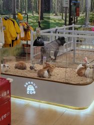 -小象动悟公园(龙湖亦庄天街店)