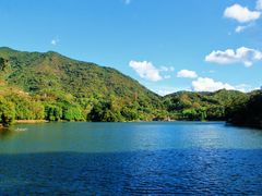 -深圳仙湖植物园
