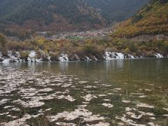 -九寨沟-树正沟