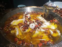 -雲蜀龙阁·金牌水煮鱼(方庄店)