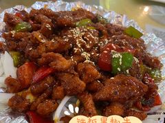 -清真•蜀风园(丁字沽店)