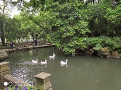 -兰亭风景区