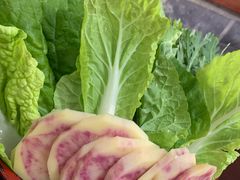 -菌之家·专业纯野生菌火锅·特色炒菌