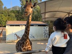 -泉州海丝野生动物世界