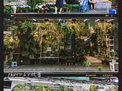 -溪岸路花鸟市场