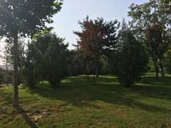 -中家鑫园温泉酒店鑫悦汤泉