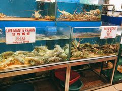 -真浪花园海鲜餐馆