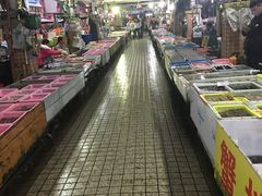 -大湾区中央湿地公园-十九涌