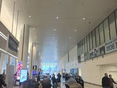 -河内内排国际机场