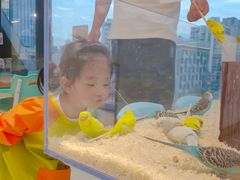 -怪兽屋·羊驼·猫咖·狗咖(俊华广场店)