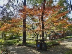 -南山植物园